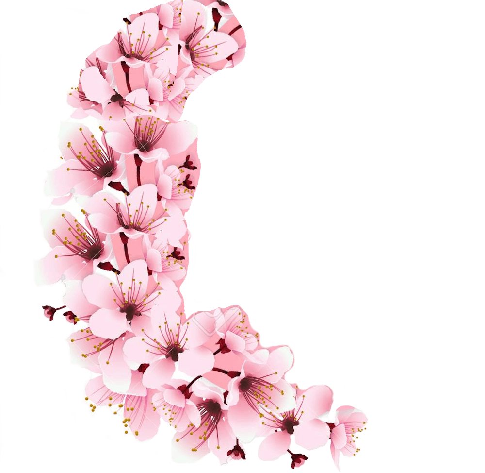 Fundo logo